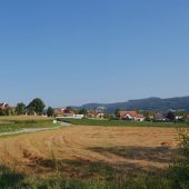 Klima, Hitze, Gesundheit