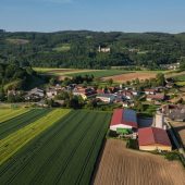 Invasive Neophyten … Was dagegen tun? Einladung zu einer Informationsveranstaltung