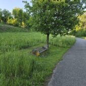 Einladung für Landwirtschaft: Boden gewinnt
