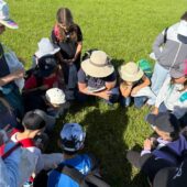 Schulexkursionen am Wachtberg: Biodiversität spielerisch entdecken